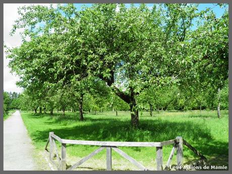 PARC DE L’ ANCIENNE ABBAYE DE LIESSIES OLYMPUS DIGITAL CAMERA