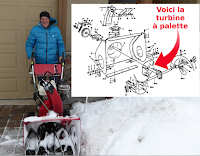 Fraise mange-cailloux !