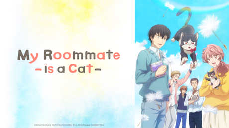 Anime d’hiver 2018 : My roomate is a cat