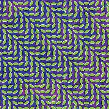 Animal Collective - Meeriweather Post Pavilion (2009)