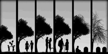 Un témoignage de Robin Brasseur (3)