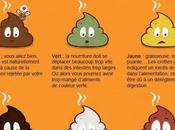 Quel meilleur indicateur votre état santé selles