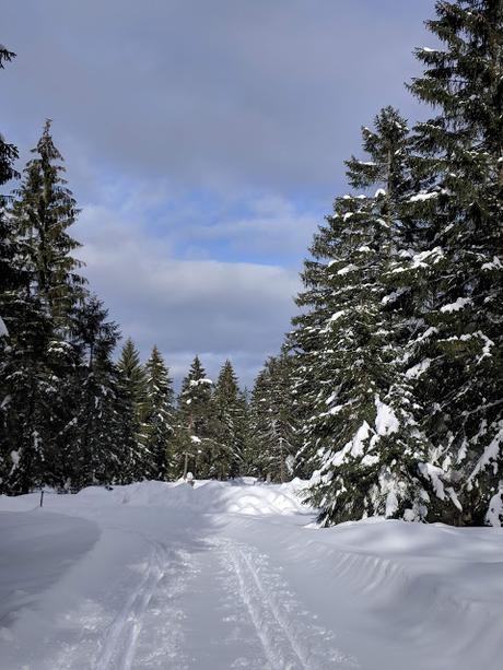 Mittenwald - Riedboden - 26.01.2019 - 10 Bilder