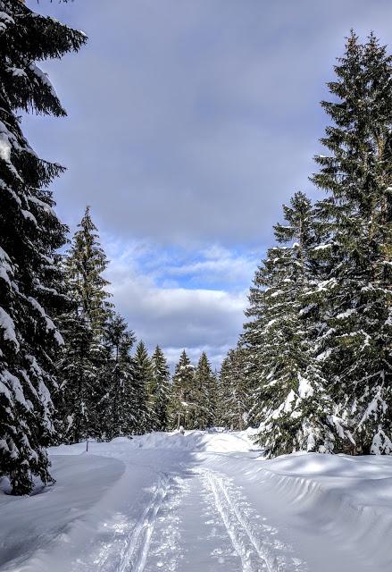 Mittenwald - Riedboden - 26.01.2019 - 10 Bilder