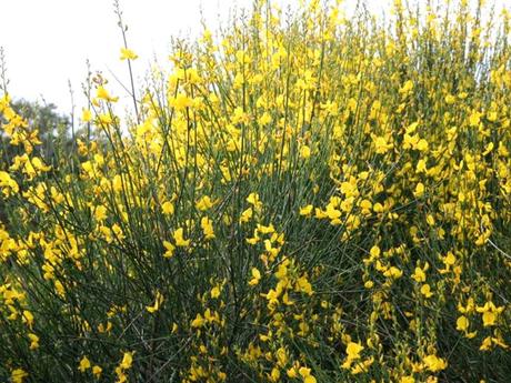 La France - La Sologne 2