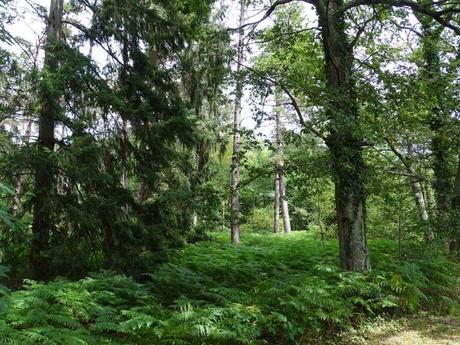 La France - La Sologne 2