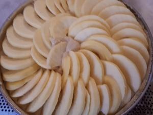 Tartes aux Pommes et crème d'Amandes Cliquer sur les photographies pour les agrandir