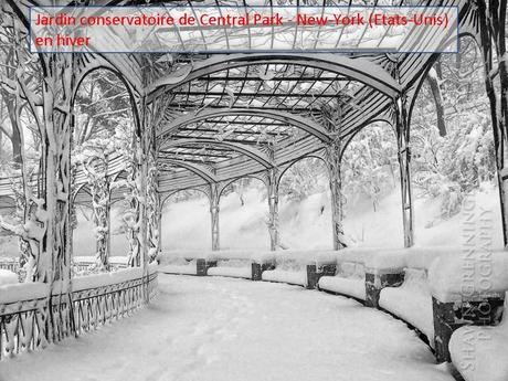 Pays Etranger - Eté - Hiver - 2