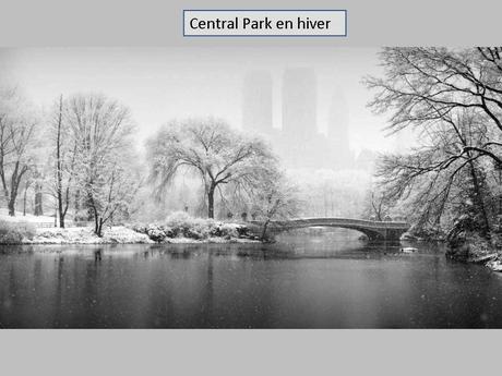 Pays Etranger - Eté - Hiver - 2