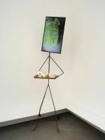 44759222_1054784058033764_8866595580386738176_n