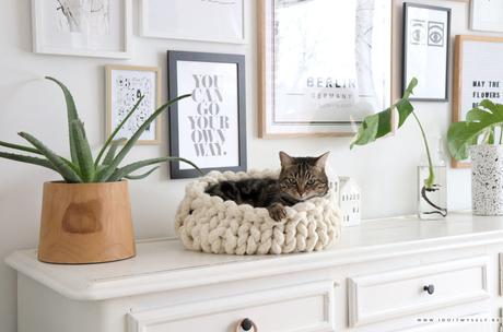 DIY : Un panier pour chat