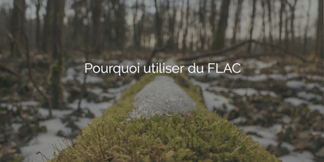 Pourquoi préférer le FLAC au MP3 Pourquoi préférer le FLAC au MP3