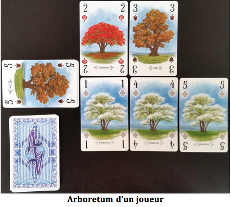Arboretum, savez-vous plantez des Arbres ? Chez Origames et Renegade France Arboretum, savez-vous plantez des Arbres ? Chez Origames et Renegade France