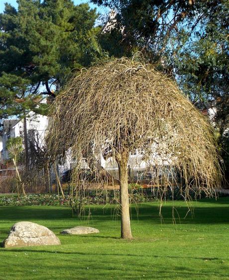 le vent nous portera