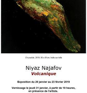 Galerie Schwab Beaubourg  Niyaz Najafov « Volcanique » 26/01 au 23/02/2019
