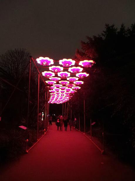 Espèces en voie d’illumination jardin des plantes ménagerie paris festival des lumières balade nocturne