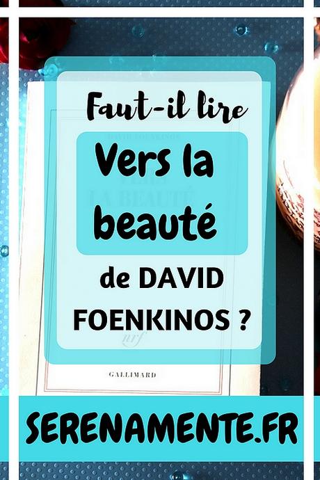 Vers la beauté de David Foenkinos : un roman sur l’art à découvrir ? Vers la beauté de David Foenkinos : un roman sur l’art à découvrir ?