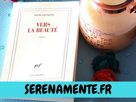 Vers la beauté de David Foenkinos : un roman sur l’art à découvrir ? Vers la beauté de David Foenkinos : un roman sur l’art à découvrir ?