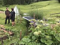 Environnement ! « Il n'y a qu'une solution : décroître très fortement » !