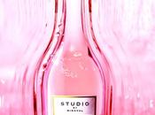 Brad Pitt Angelina Jolie nouveau rosé STUDIO Miraval