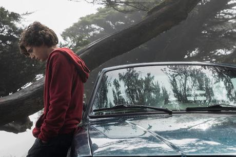 Nouvelle bande annonce VF pour My Beautiful Boy de Felix Van Groeningen