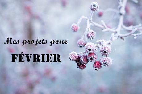 Mes projets pour février 2019