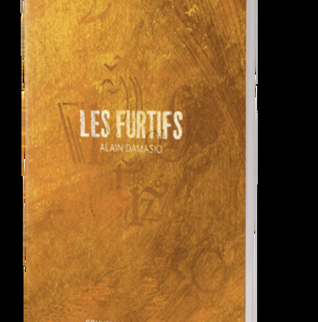 #Culture #Livre - LES FURTIFS, LE NOUVEAU ROMAN D'ALAIN DAMASIO | PARUTION LE 18 AVRIL #Culture #Livre - LES FURTIFS, LE NOUVEAU ROMAN D'ALAIN DAMASIO | PARUTION LE 18 AVRIL