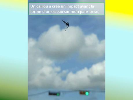 Divers - Photos extraordinaires