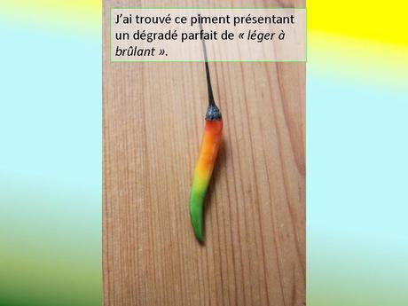 Divers - Photos extraordinaires