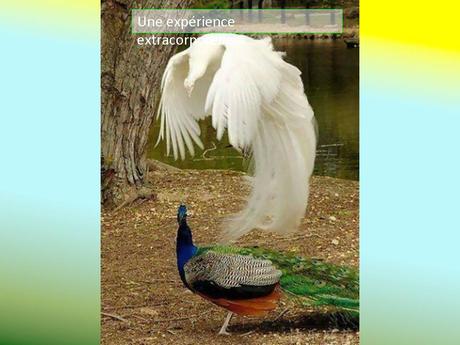 Divers - Photos extraordinaires