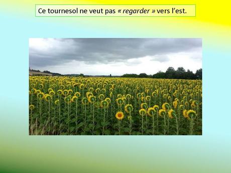 Divers - Photos extraordinaires