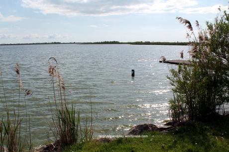 Balade dans les polders de Vendée