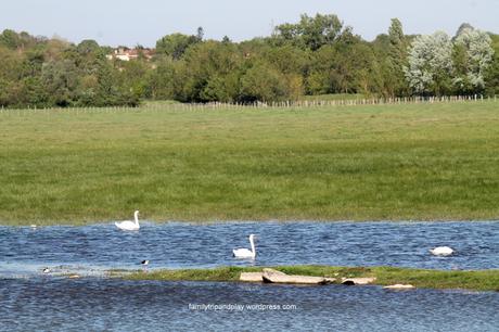 Balade dans les polders de Vendée