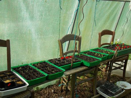 Alors ça germe ? Alors ça germe ?