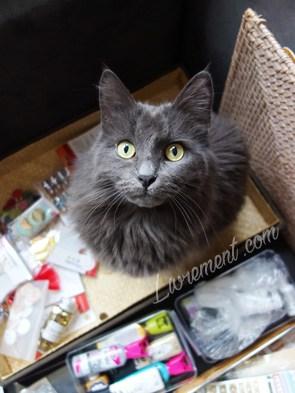 Rond de Sorcière #103 Rond de Sorcière #103