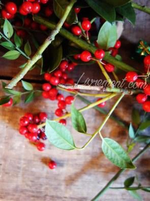 Rond de Sorcière #103 Rond de Sorcière #103