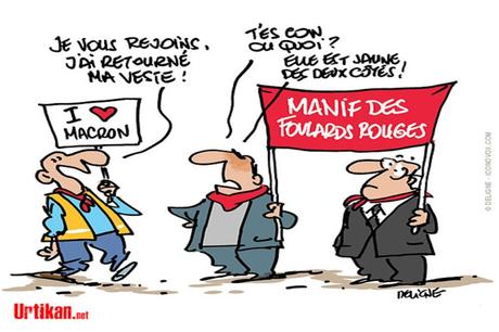 Il creuse il creuse Macreux1er.