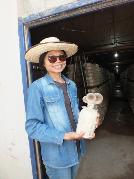 Udonthani : Visite du village aux champignons de Nong Tat « Le Garden Mushroom Udon. »