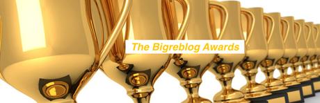 Les Bigreblog Awards sont là! (Divers) Les Bigreblog Awards sont là! (Divers)