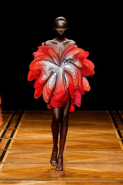 Robe imprimée 3D d'Iris Van Herpen