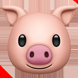 Nouvel an chinois : Bonne année du cochon !