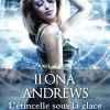 L’étincelle sous la glace d’Ilona Andrews