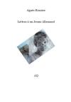 Agnès Rouzier  Lettres à un jeune allemand