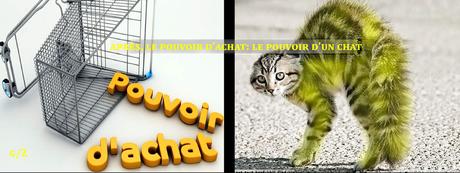 Pourquoi pas un audit de l’état ?