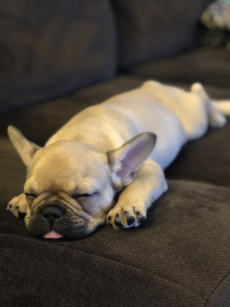 Boo la France, BOOOOOOOOOOOOOO!