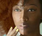 Peut-on résoudre le problème de la dépigmentation avec une loi?