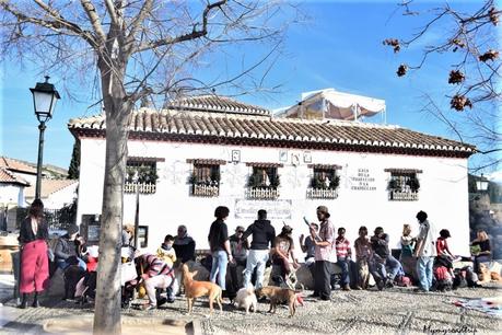 Grenade en Andalousie : city guide de deux jours en décembre