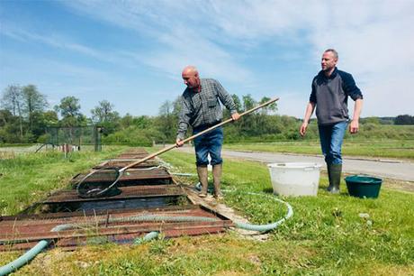 RESTO : BRUT ou le bien-être dans votre assiette ! (Bruxelles) RESTO : BRUT ou le bien-être dans votre assiette ! (Bruxelles)