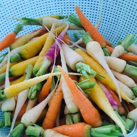 RESTO : BRUT ou le bien-être dans votre assiette ! (Bruxelles) 45015661_505255113314754_5401353706128015360_n