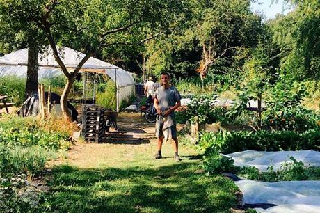 RESTO : BRUT ou le bien-être dans votre assiette ! (Bruxelles) RESTO : BRUT ou le bien-être dans votre assiette ! (Bruxelles)